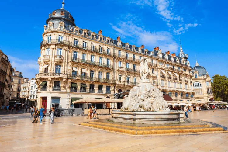 business plan à montpellier