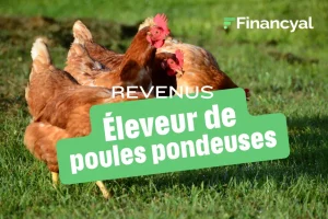 eleveur de poules pondeuses salaire